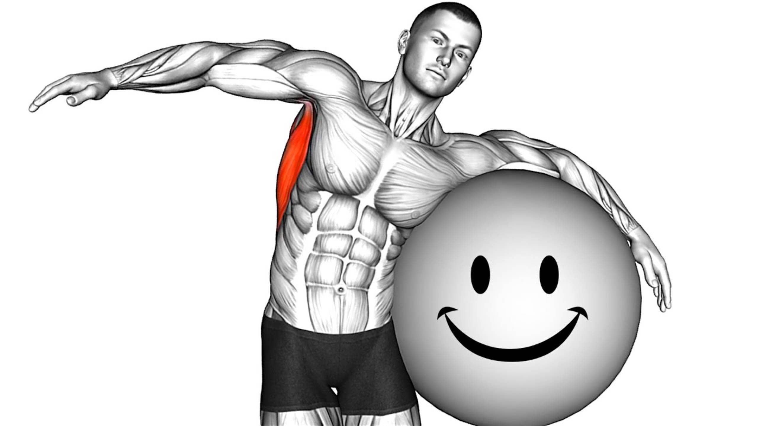 9 минутные Домашние Упражнения (тренировка на гимнастическом мяче) смотреть онлайн