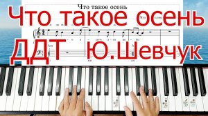 Что Такое Осень Полный Разбор Для Начинающих ЛЕГКО ПРОСТО