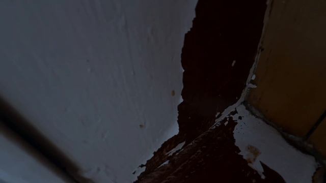 Звук мыши 🤯 Мышь пищит! Мышь в стене 😱Она живёт внутр смотреть онлайн