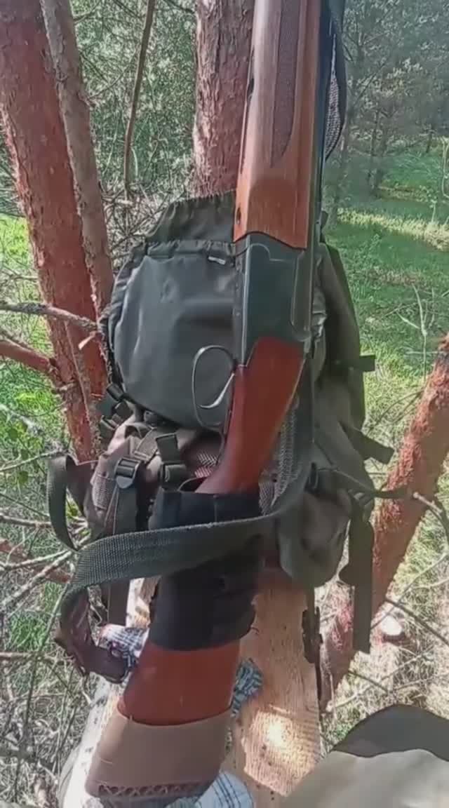 Открытие по кабану Вышел лось смотреть онлайн