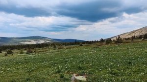 Покатушки Motoland Garet 300