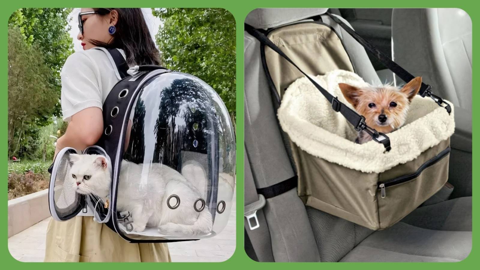15 идей переноски для животных 🐾🚗 смотреть онлайн