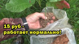 Как приготовить недорогую и эффективную прикормку для ловли на поплавок на речке