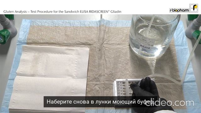 R7001 RIDASCREEN® Глиадин | Видеоинструкция смотреть онлайн