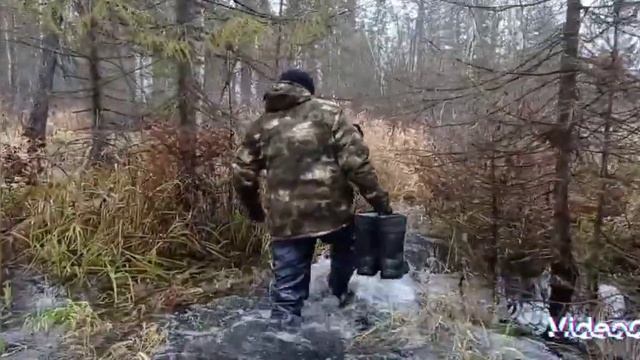 SALAIR PROJECT (ЛЕСНОЕ ОЗЕРО,ПРОГУЛКА ПО ПАРКУ!!!))) смотреть онлайн