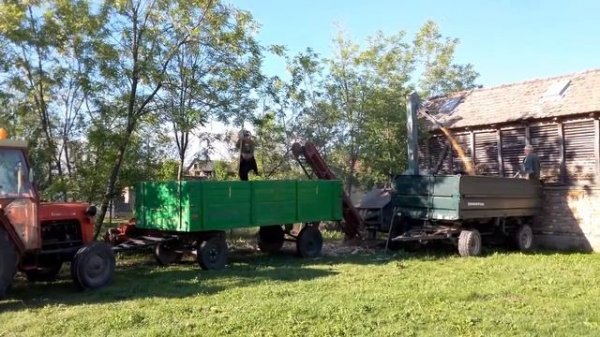 Krunjenje kukuruza iz kotobanje