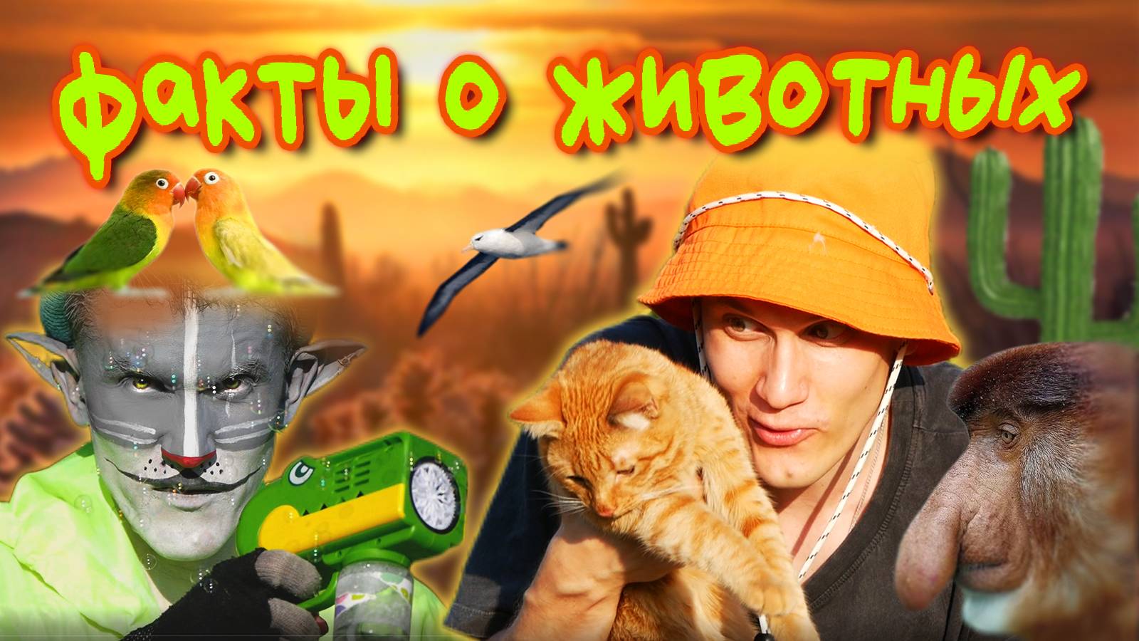 КОТ УЧЁНЫЙ| УДИВИТЕЛЬНЫЕ ФАКТЫ О ДИКОЙ ПРИРОДЕ смотреть онлайн