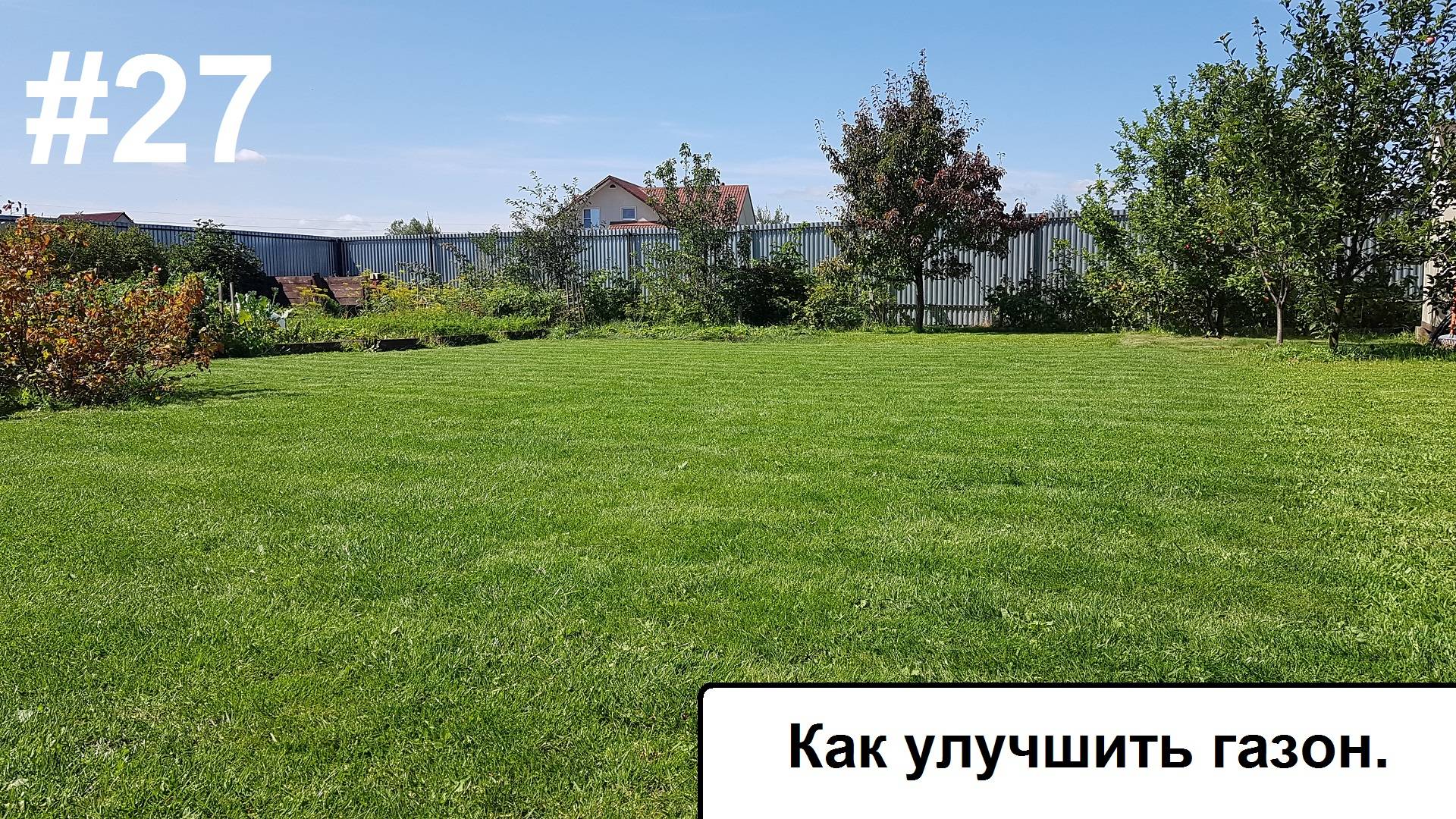 Как улучшить газон. смотреть онлайн