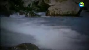 Земля.  Территория загадок.   Таинственные обитатели о?