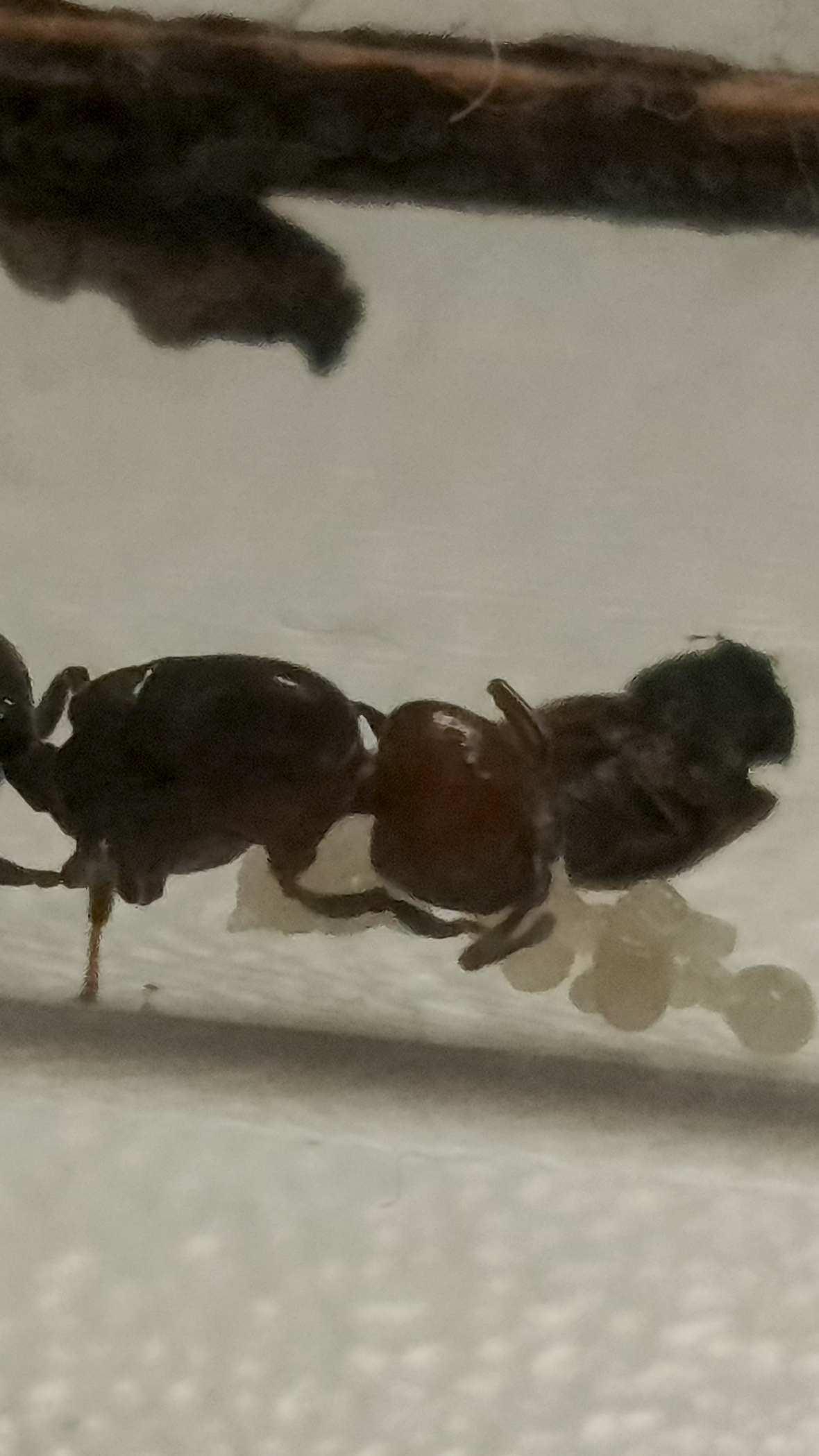 полное видео уже на канале