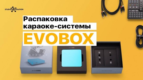 Распаковка [EVOBOX]. Караоке-система для дома.