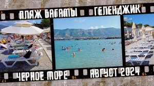 Пляж Багамы, город Геленджик. Август 2024.