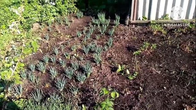 Про переезд/Моё мнение смотреть онлайн