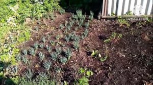 Про переезд/Моё мнение