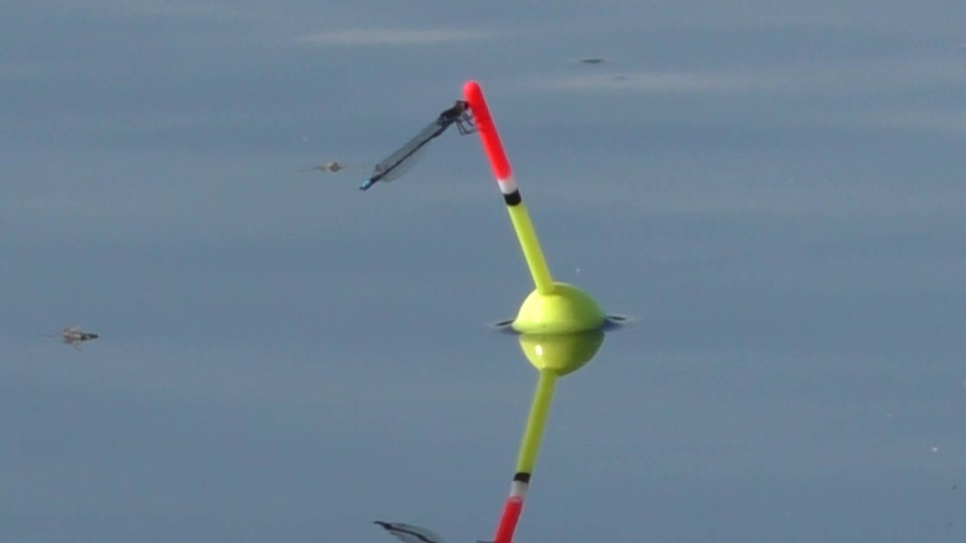 Рыбалка в диком болоте КРУПНЫЙ КАРАСЬ! смотреть онлайн