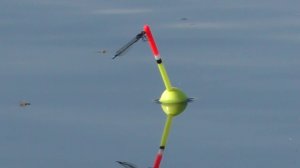 Рыбалка в диком болоте КРУПНЫЙ КАРАСЬ!