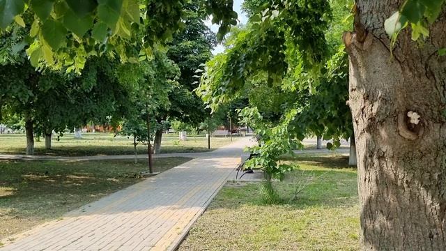 Иду с документами в МФЦ. Прогулка по нашему парку. смотреть онлайн