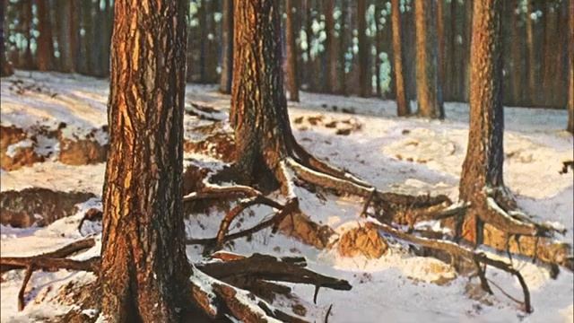 История фотографии От фотокарточек до смартфонов