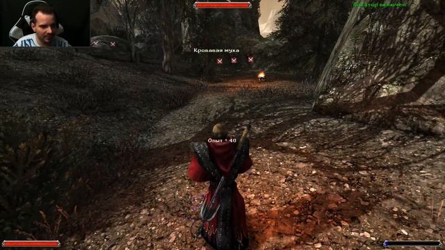 Gothic 2 ► Прохождение #20 (Глава 2) ► Спидран всех шахт и Пр смотреть онлайн