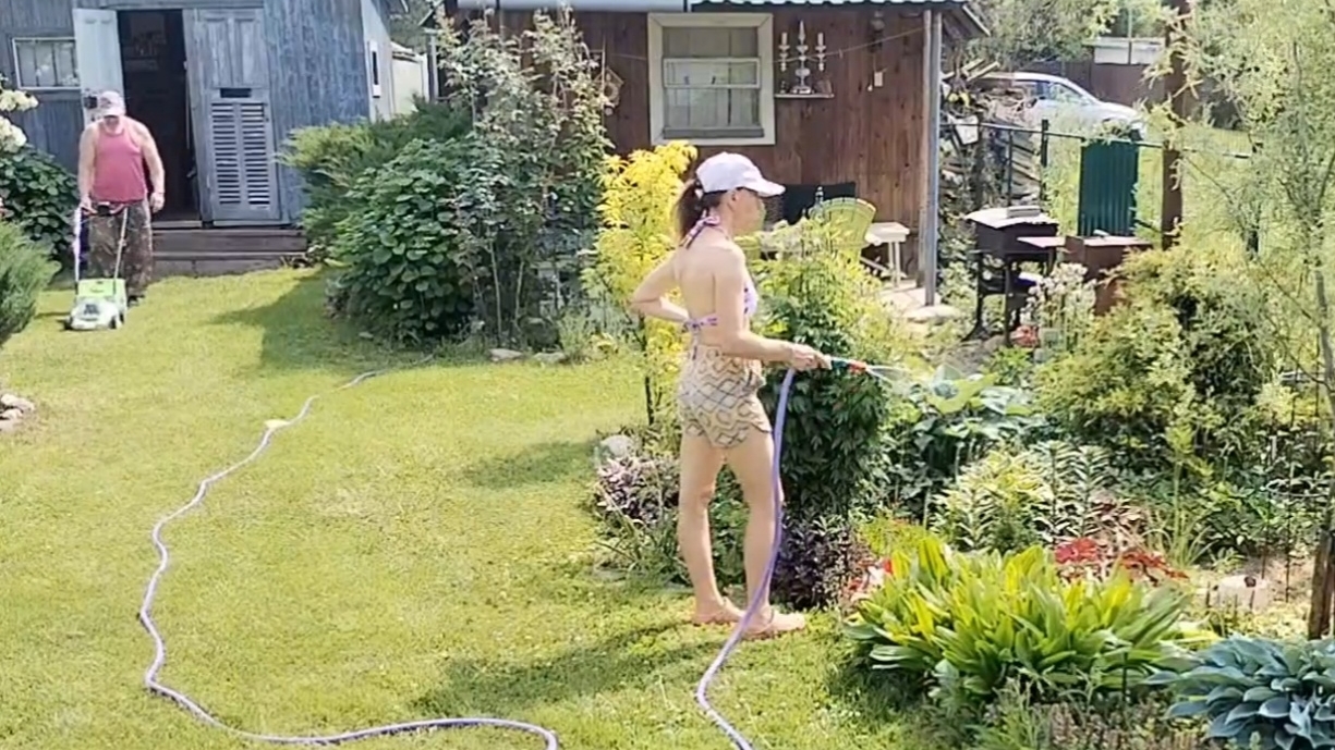 Сбор жимолости продолжается. Засаживаем свободные места зеленью. 08-06-2025 смотреть онлайн