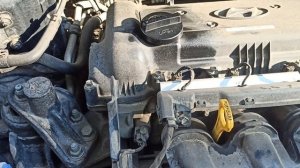 Цокот на холодную солярис