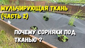 Укрывной материал (часть 2). Почему сорняки под тканью ?