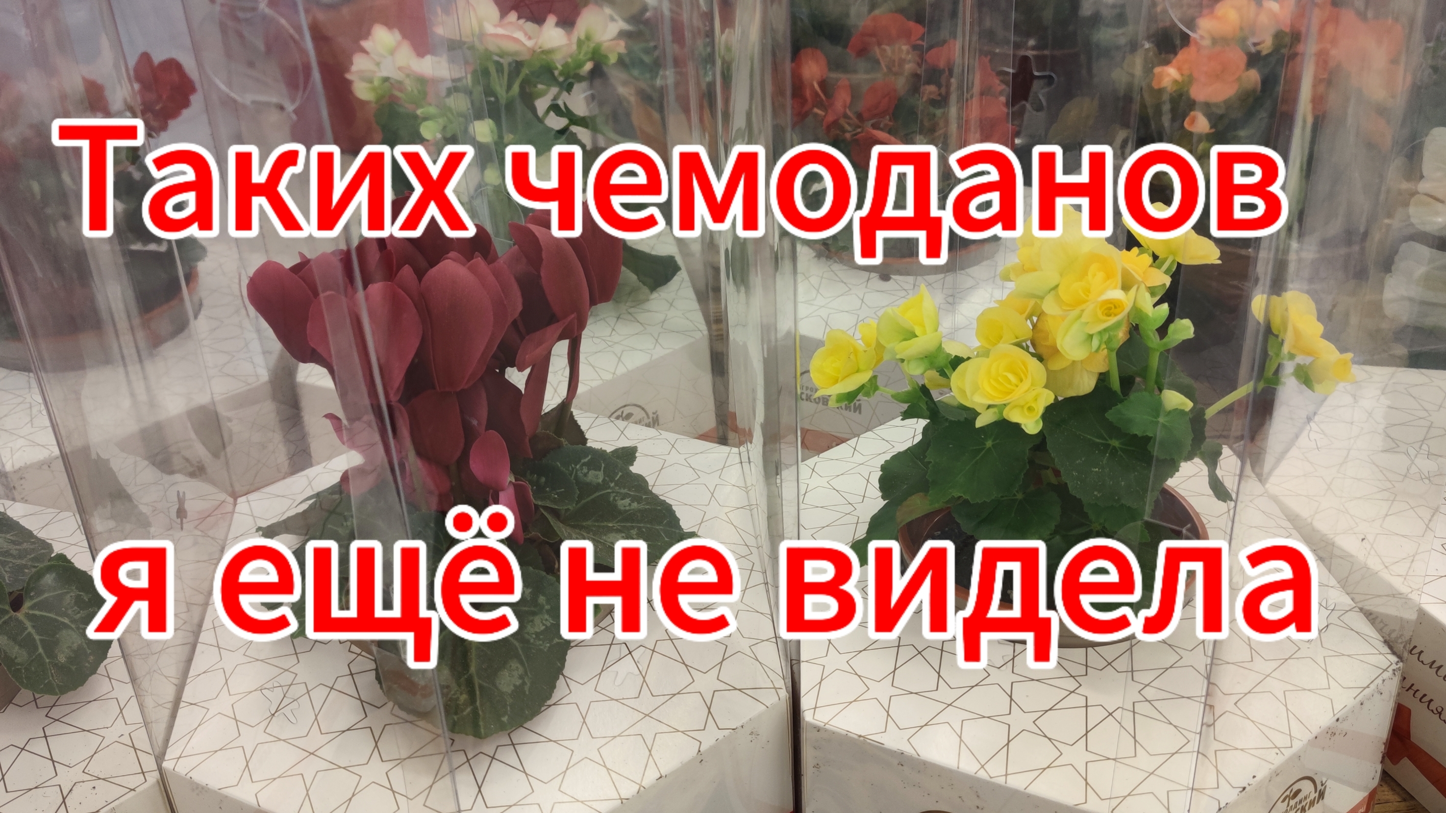 Умный чемодан!! Таких я ещё не видела. М-н Окей смотреть онлайн