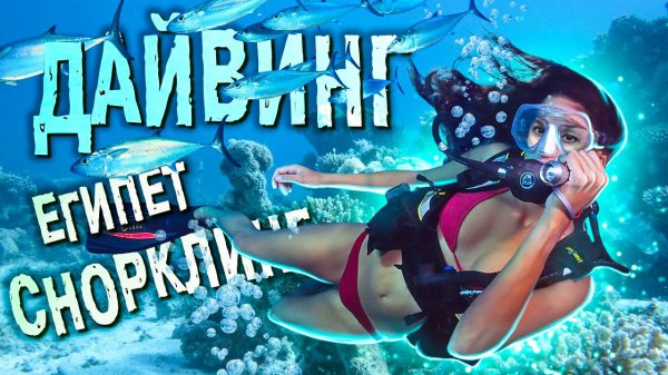 ДАЙВИНГ и Снорклинг в Египте / Подводный мир КРАСНОГО моря / ОТДЫХ в Хургаде