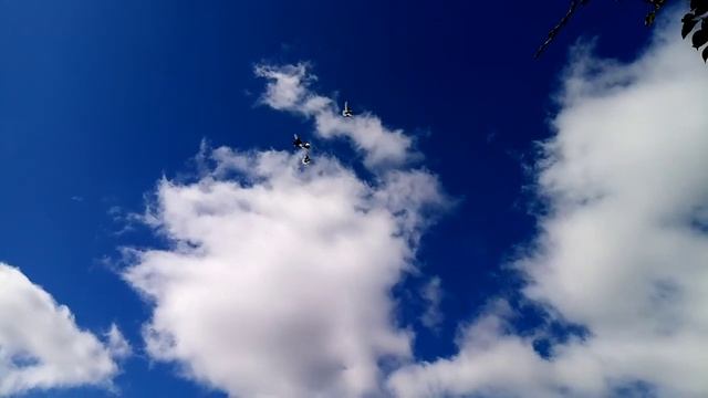 Работа крыла в сильный веьер