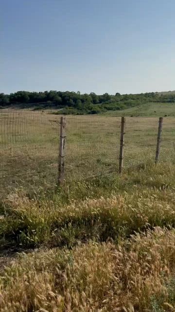 10 сот вблизи села