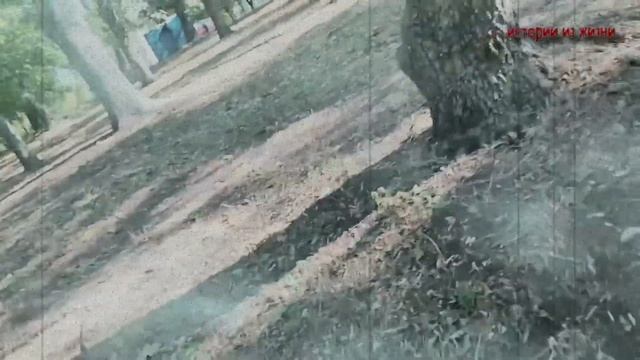 БЫЛО ЖАРКО КАЖДЫЙ ДЕНЬ В ГОСТЯХ У СЫНА - Аудио Рассказ