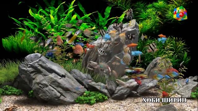 Уход на профилактику, переход на ГЦП и отключение сигн