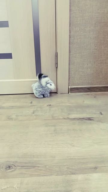 Игрушка прыгающий зайчик 🐰🐰🐰