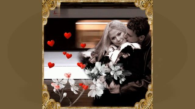 На память фото и печаль