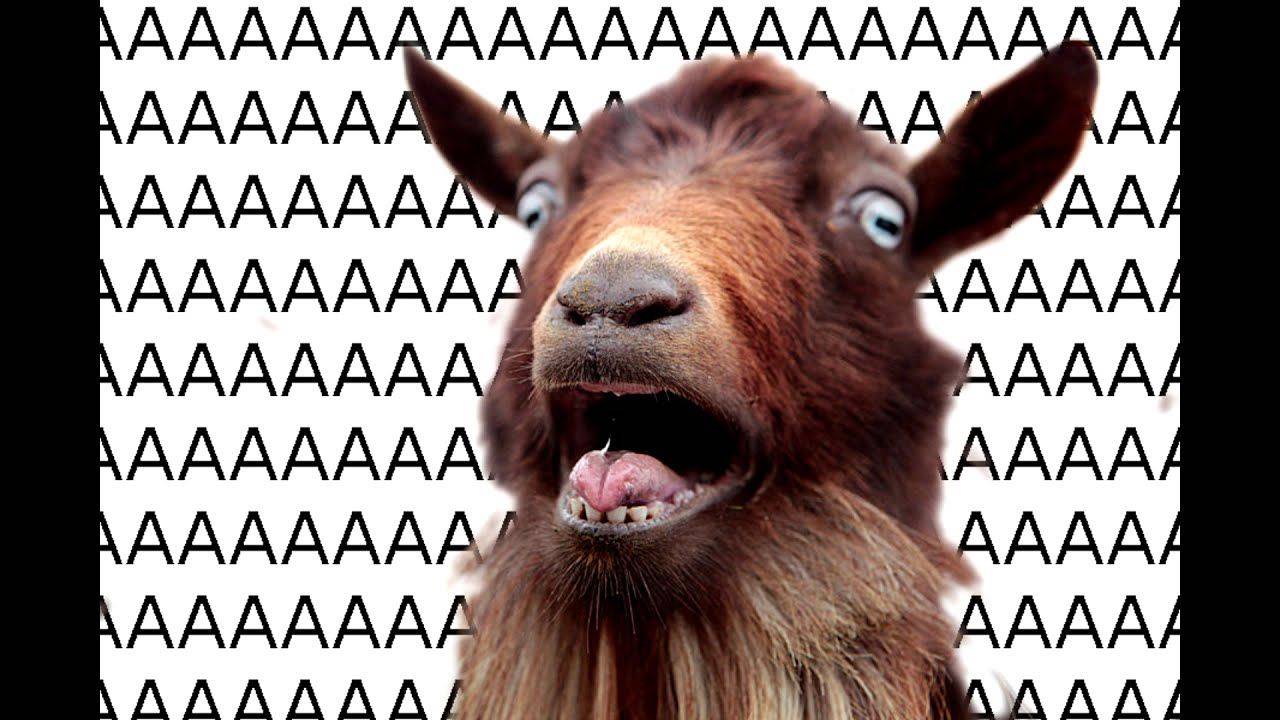 Как скачать арена брейкаут инфинити смотреть онлайн