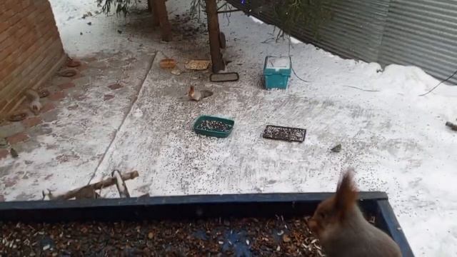 Видеоблагодарность Марине Александровне за помощь ле
