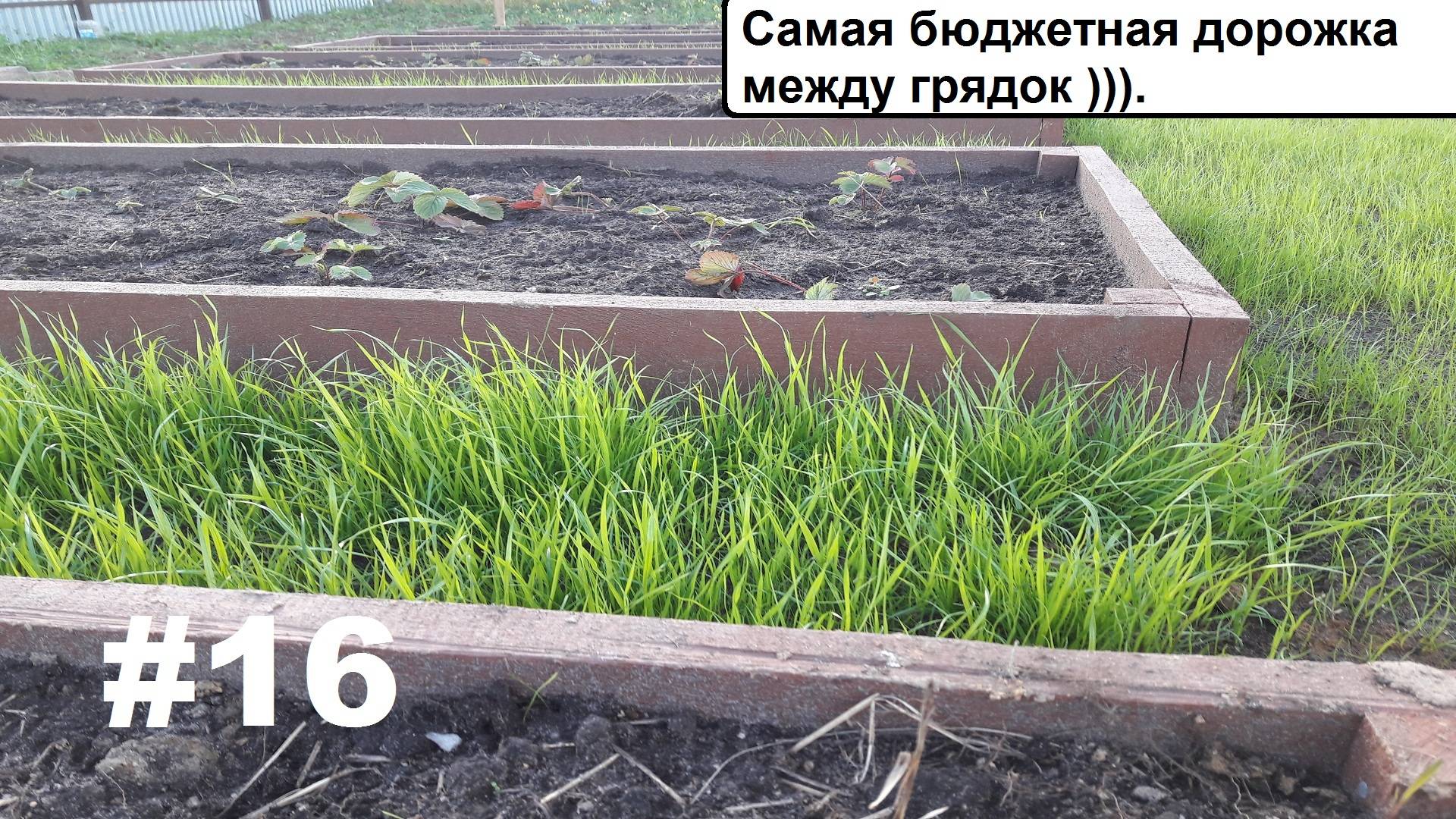 Дорожки между грядок. смотреть онлайн