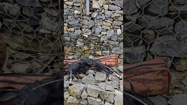 Заброс - рыба 🐟 #рыболовтроицк #рыбалка #тинао #фидернаяловля #Троицк #rybolovtroick #tinao_fishing