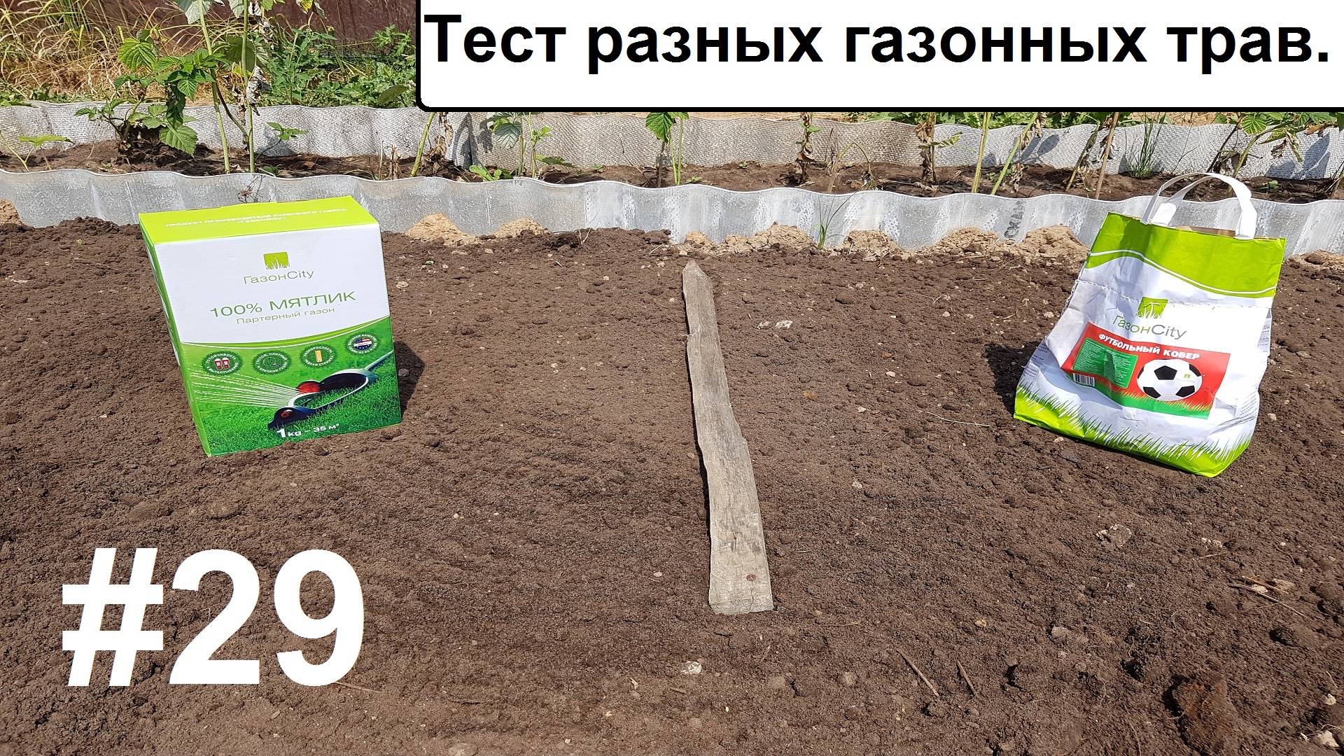 Тест разных газонных трав. смотреть онлайн