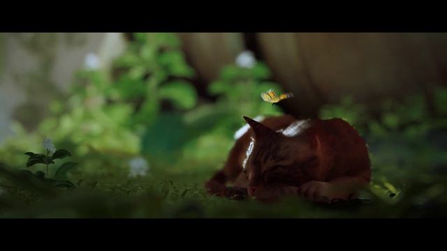 Stray, 1-й полный подробный обзор прохождения вступитель? смотреть онлайн