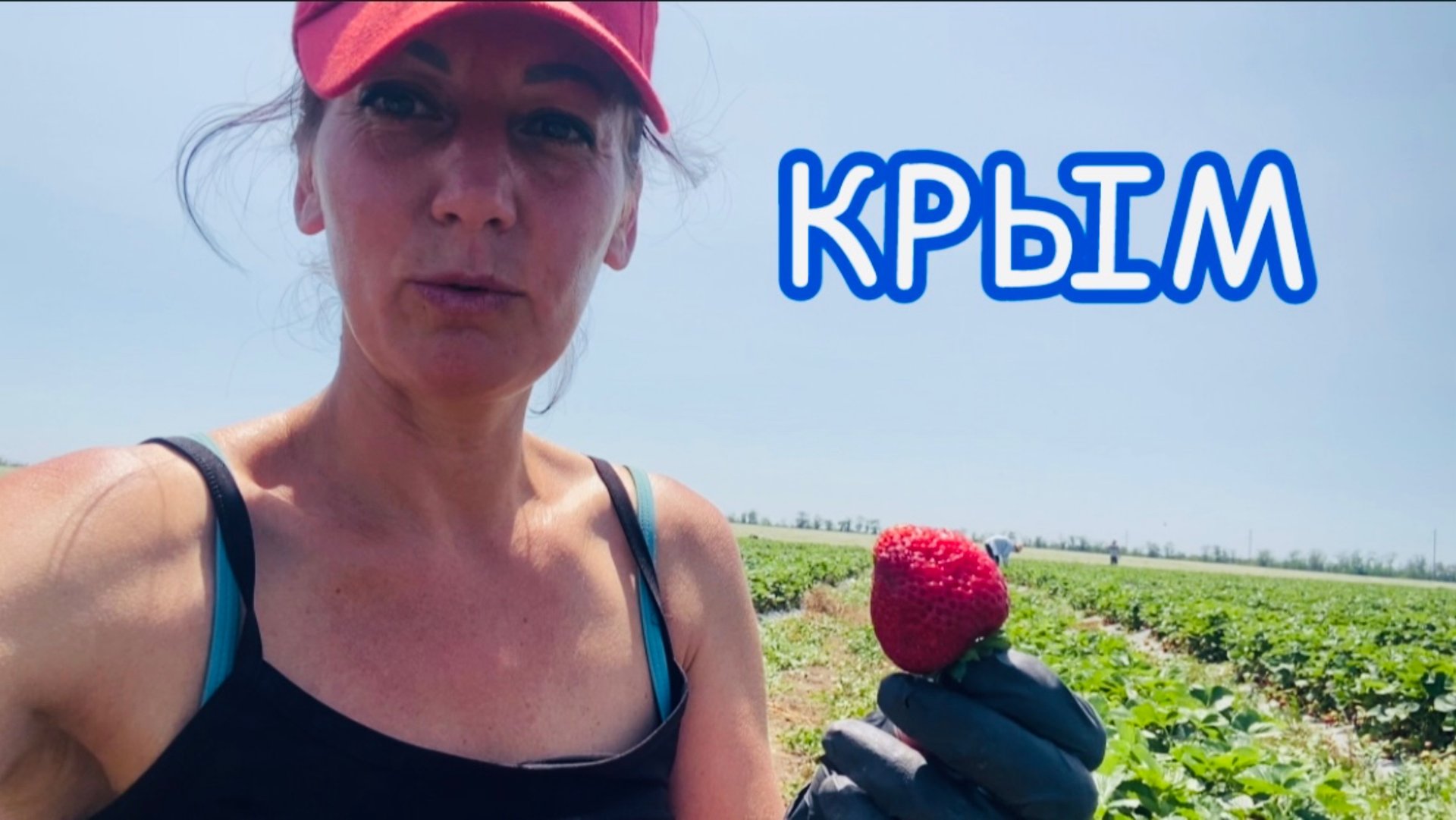 Cбор клубники 🍓 7 июня 2025 смотреть онлайн