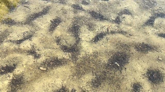 Поездка на синее озеро Writes Lake