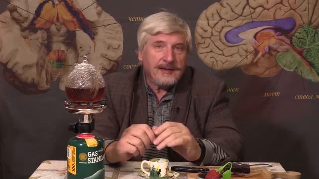 Какую пищу любит мозг смотреть онлайн