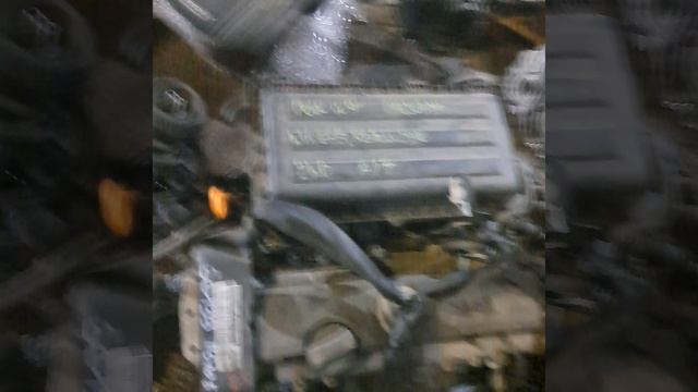 polo 5 смотреть онлайн