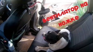 автомобильный вентилятор на ножке с TEMU