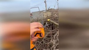 Секатор аккумуляторный Denzel CP-30