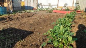 ПЕРВЫЕ🍓ДЕТИ ДОВОЛЬНЫ/САША ЗАКОЛОЛ ПЕТУХОВ/НАЖАРИЛА🥞