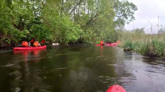 Байдарочные туры вместе с национальным парком "Брасла смотреть онлайн