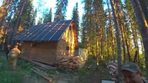 Мужики построили целый ДОМ на берегу реки! Приехал в гости к Александру Устаеву! Рыбалка на закате!