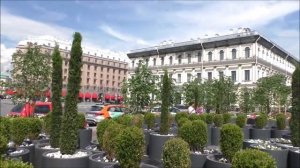 Сад на Исаакиевской площади.  Петербург.  03. 06. 24.